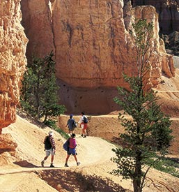Zion Hiking Trip